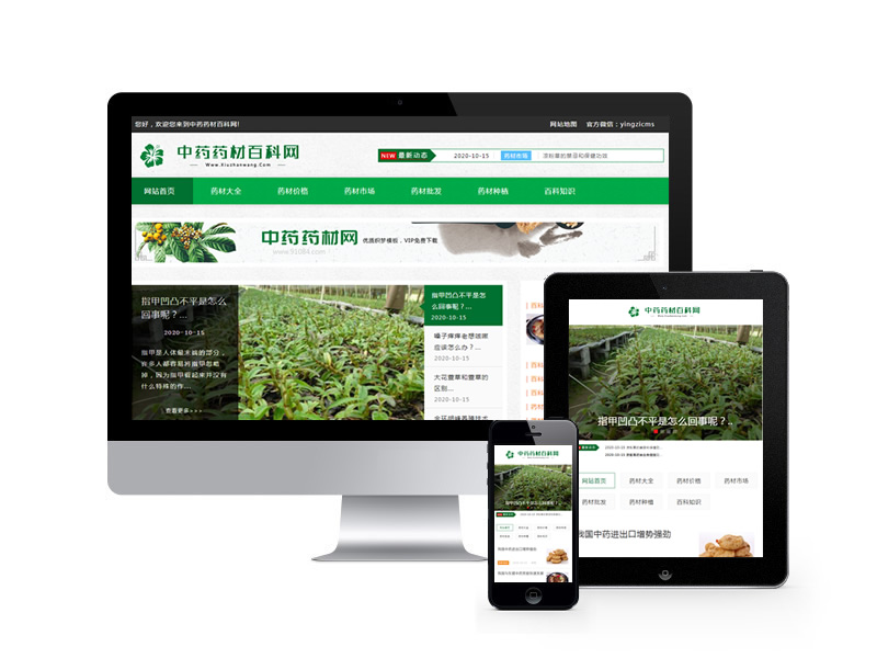 中藥藥材百科資訊類網(wǎng)站